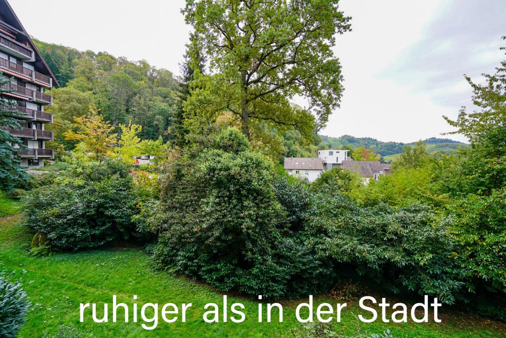 Gaishoell-Wasserfaelle Apartment Schwarzwald Sasbachwalden Exterior foto
